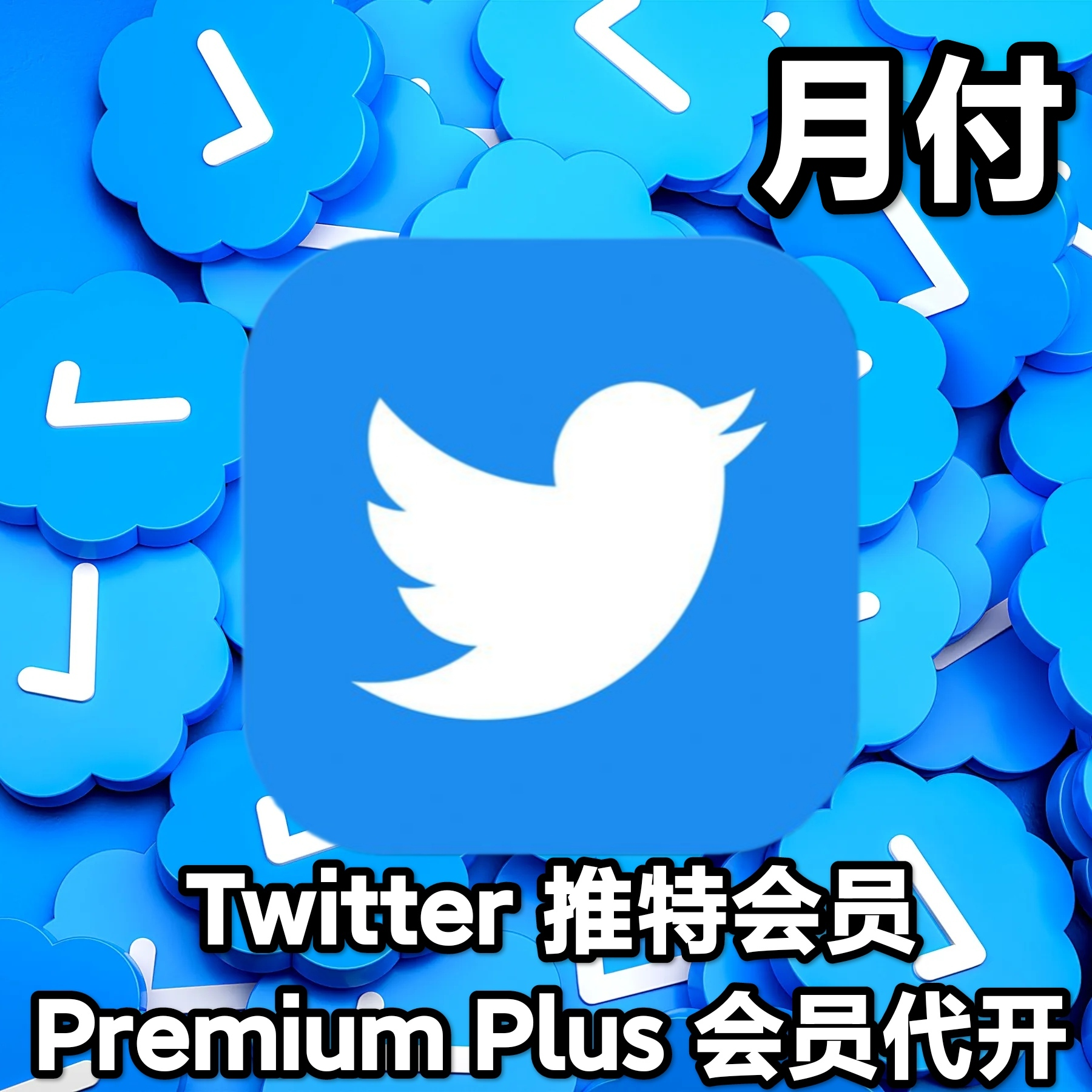 Twitter 推特会员Premium Plus代开蓝V（月付）